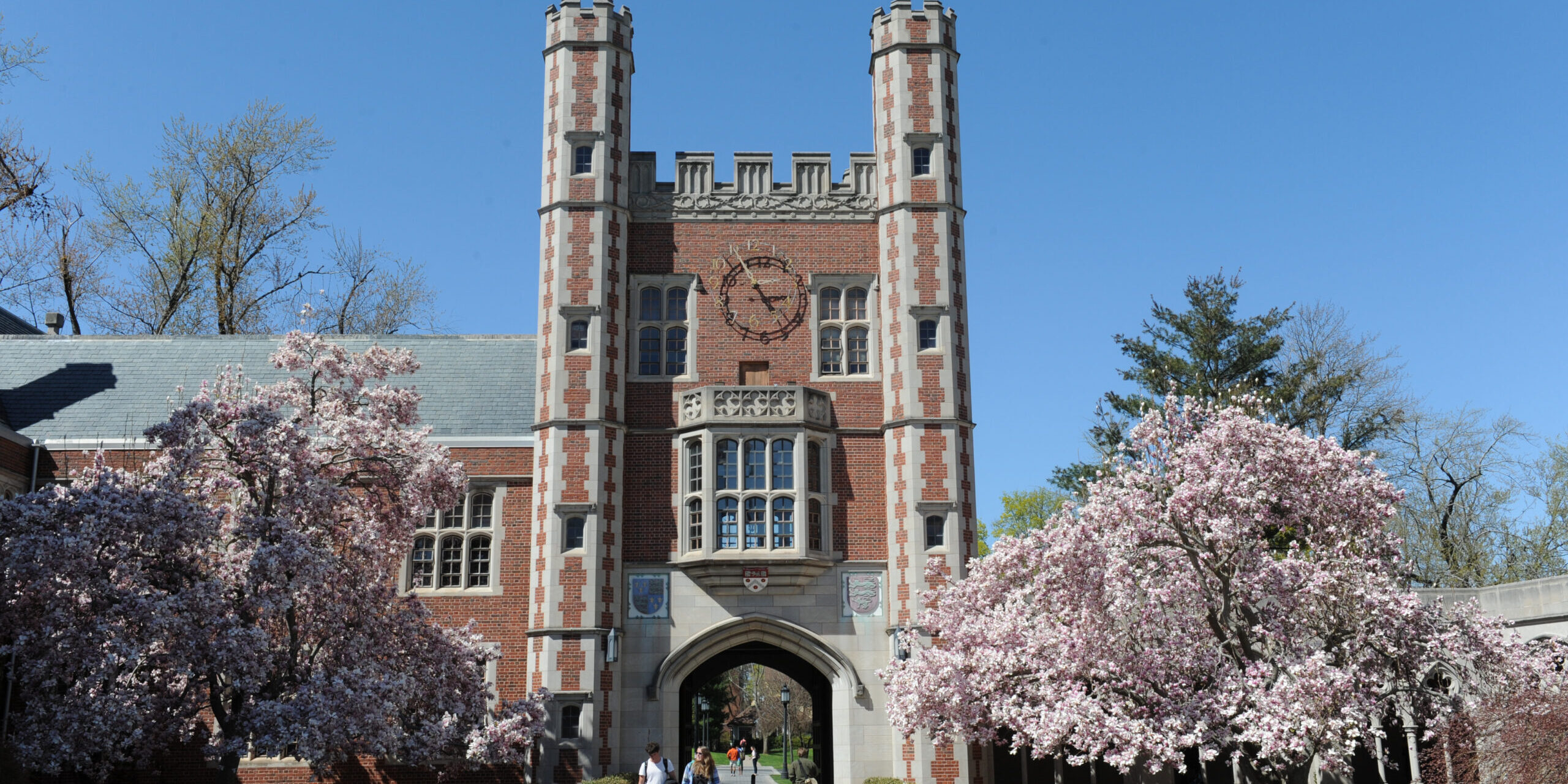 The Chapel at Trinity College with Pink Blooming Trees