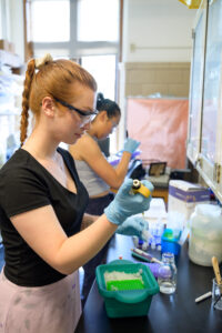 Chemistry summer research students working in the lab