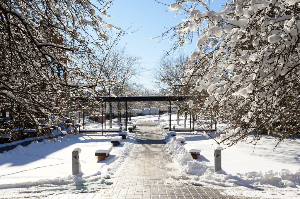 Funston Courtyard in the winter