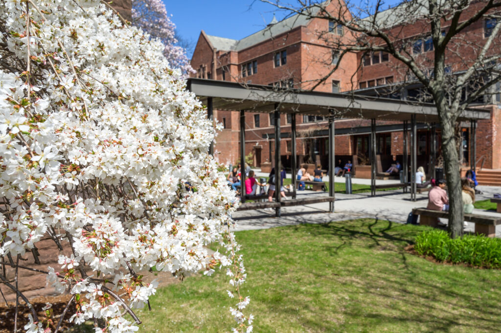 Funston Courtyard in the spring