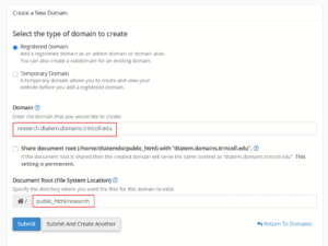 screenshot of subdomain settings