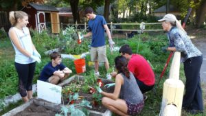 students gardening