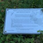 Sign on Trinity's biodiversity garden