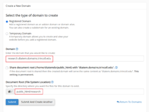 screenshot of subdomain settings