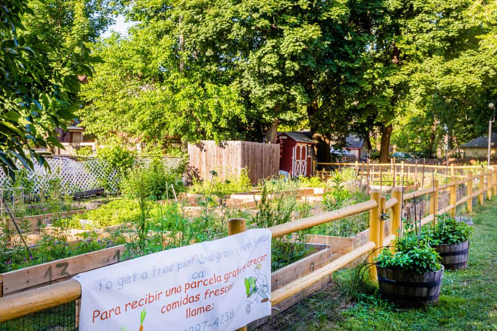 Community garden at Trinfo.Cafe