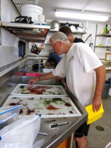 Schneider sorts specimens in lab at Bermuda Aquarium with Chris Lane’99 and Dan McDevit ’01