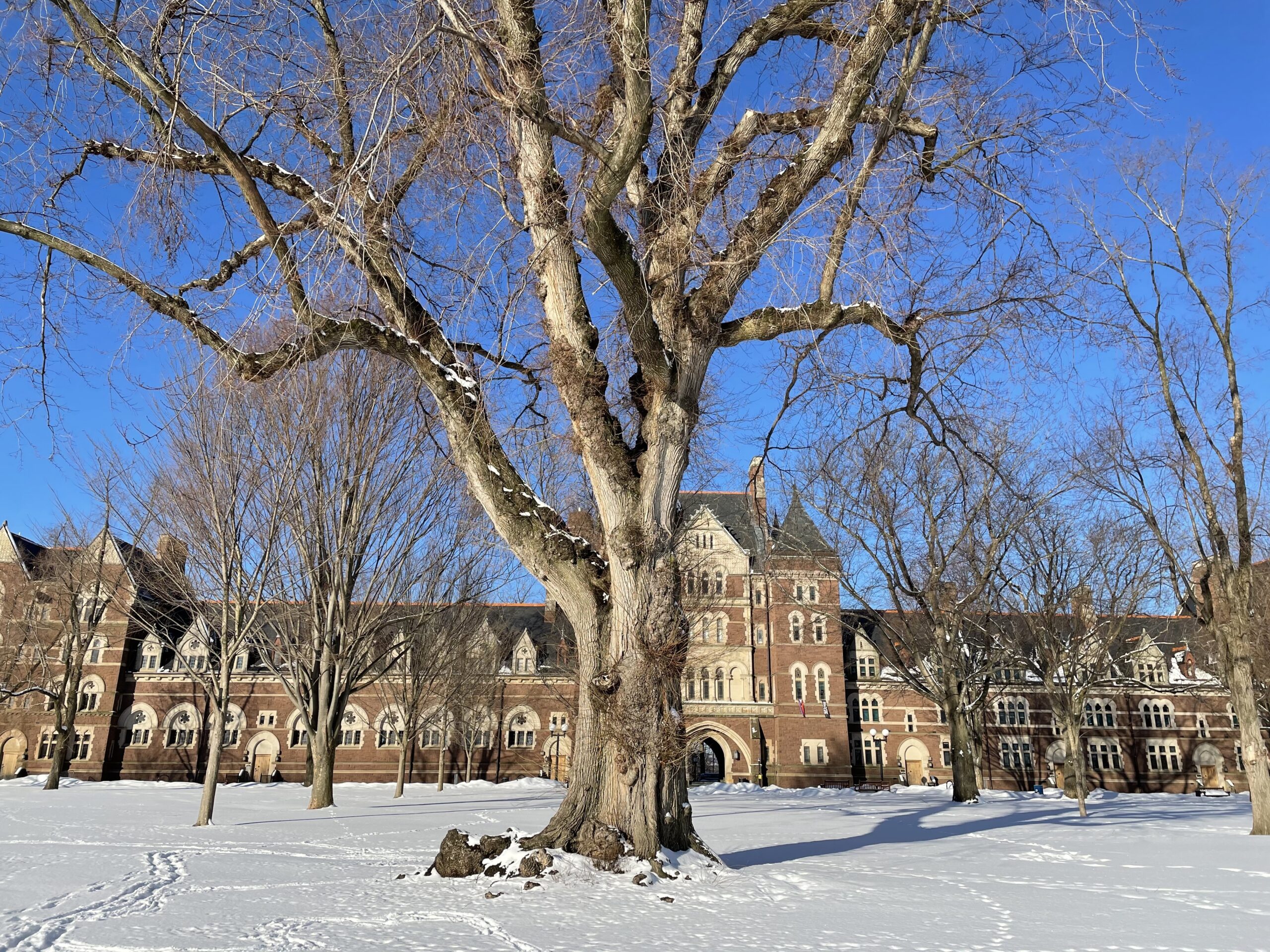 Trinity University Environment ‘We’re All Involved in This’: Trinity Faculty Addressing Climate Crisis ...