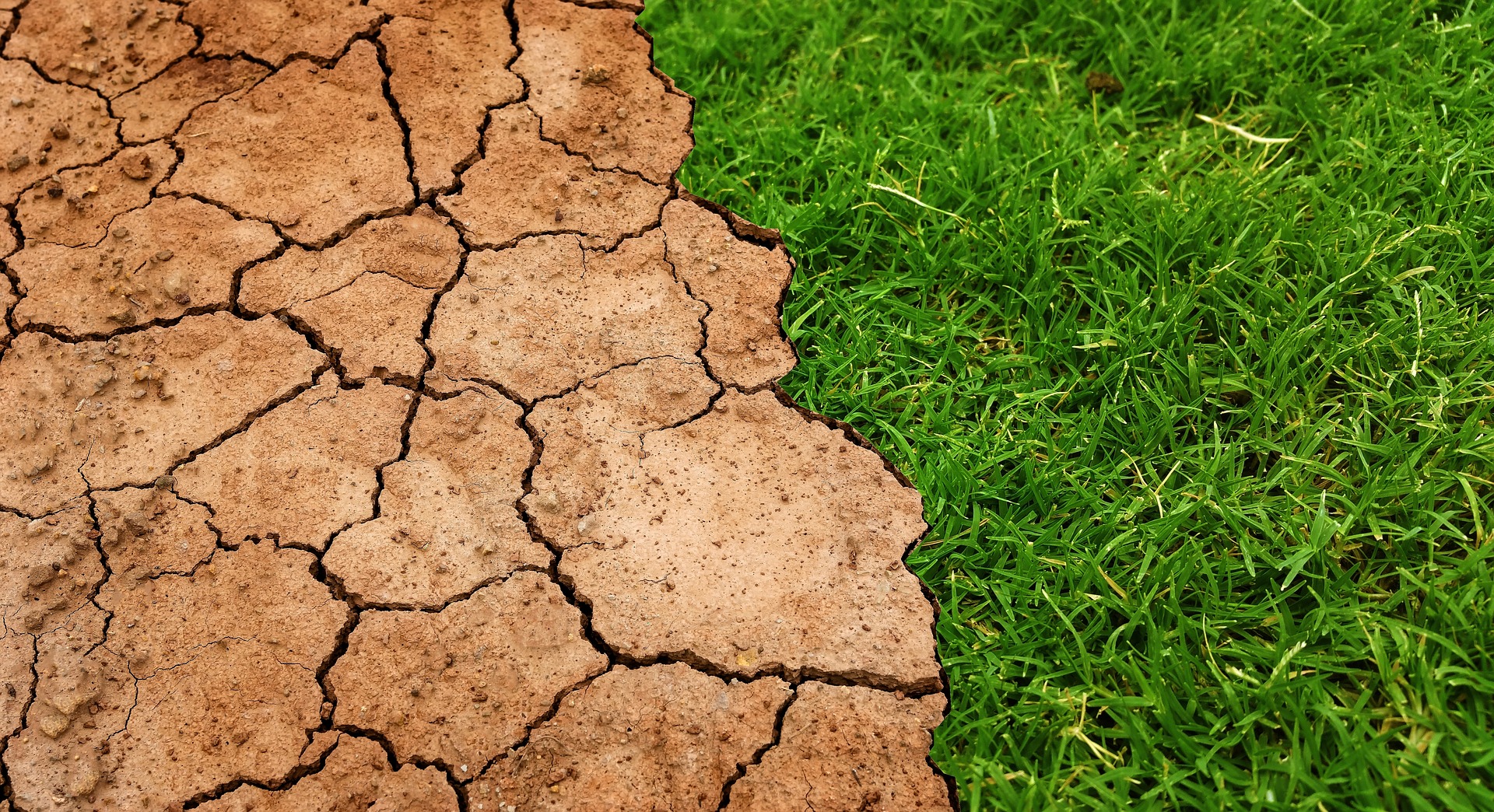 'We're All Involved in This': Trinity Faculty Addressing Climate Crisis with New Courses - Vimarsana News