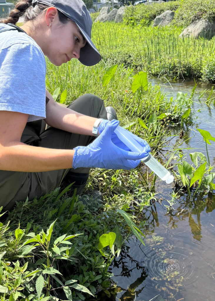 Rachel Carson Council award; environmental science