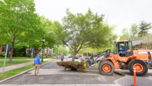 Heavy machinery moves a cherry tree across a road
